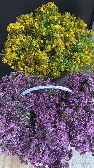 Душица из Башкирии, цена за пучок