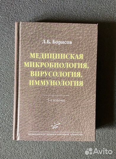 Борисов Медицинская микробиология