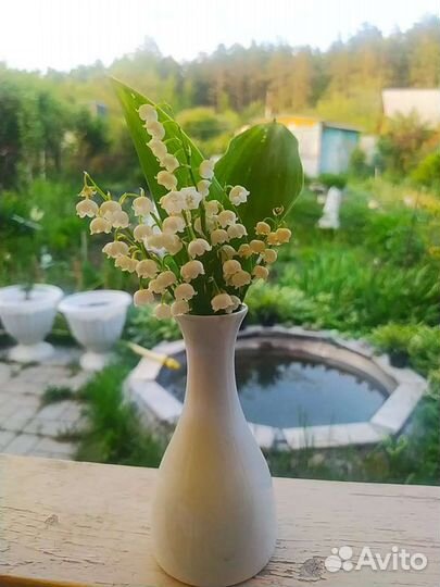 Подарок Мини Вазочка для цветов, фарфор,Xantia