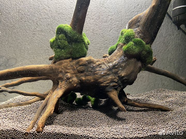 Аквариум 25 л