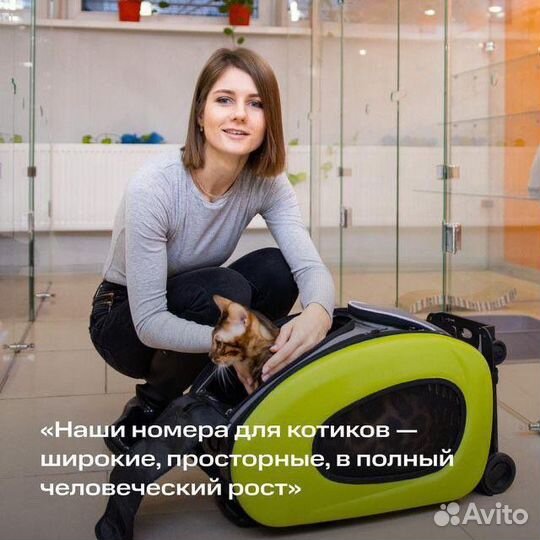 Зоогостиница, передержка животных