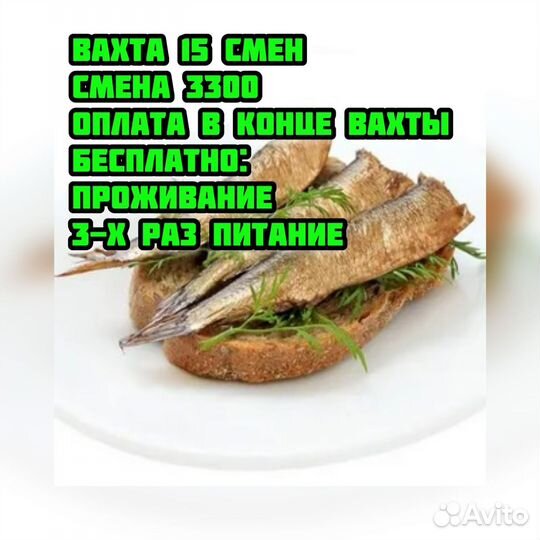 Фасовщик рыбы 3-х разовое питание