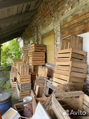 Ящики для овощей и фруктов