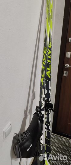 Беговые лыжи fischer