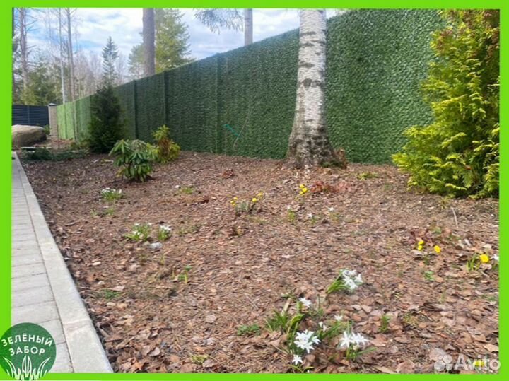 Зелёный Забор