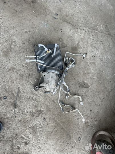 Калина кондиционер