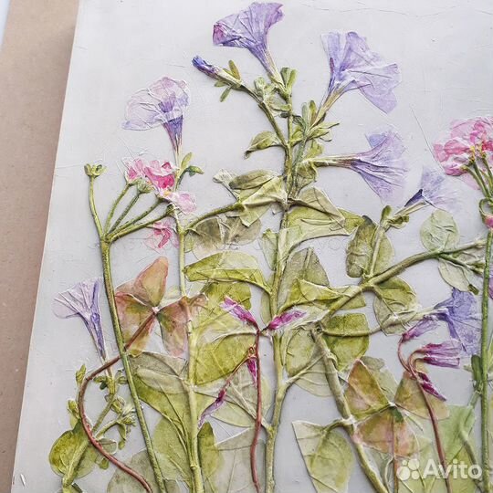 Ботанический барельеф 