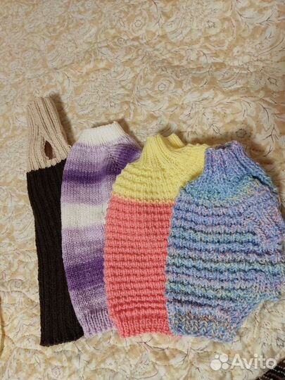 Одежда для собак и кошек