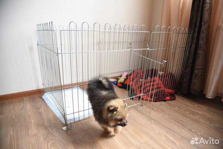 Вольер для собак