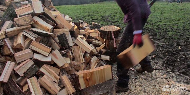 Дрова с Приморска