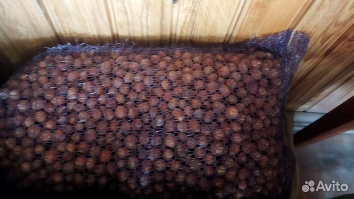 Фундук в скорлупе