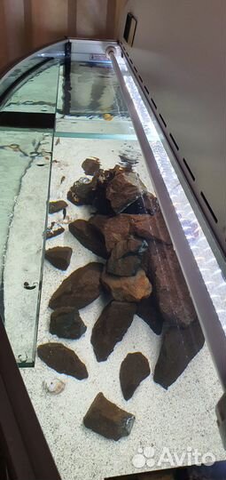 Аквариумный комплекс 