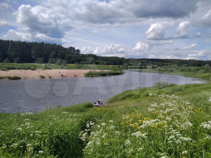 Участок 1100 га (ИЖС)