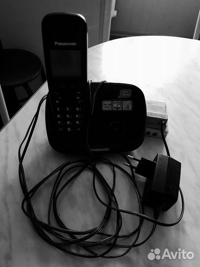 Panasonic