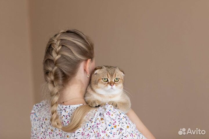 Кот на вязку