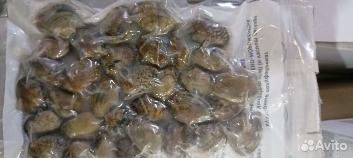 Клемы вонголе в/м 31/40 вакууме