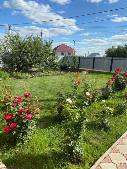 Дом 25 м² на участке 9 сот.