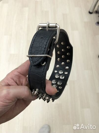 Ошейник для собак