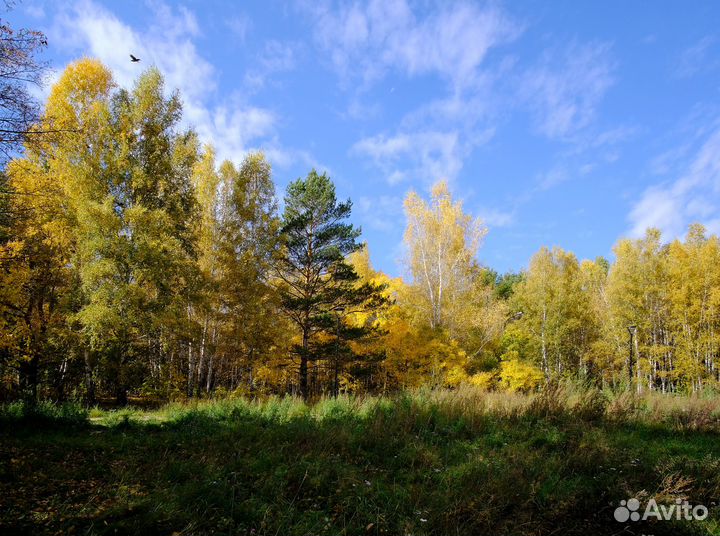 Объектив Samyang 12/2,0