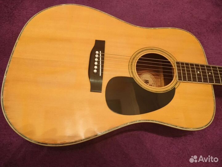 Акустическая гитара Morris W 25