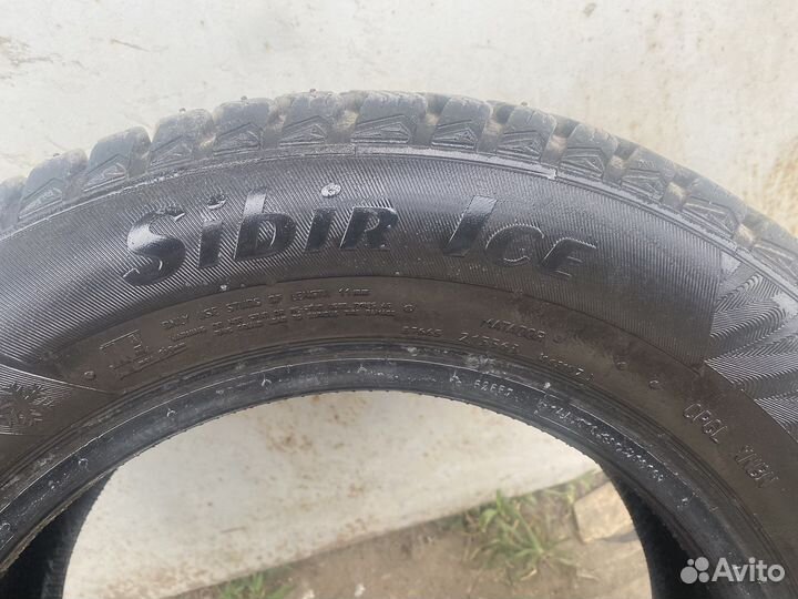 Matador MP 50 Sibir Ice 185/65 R14