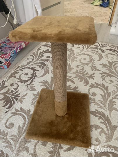 Когтеточка