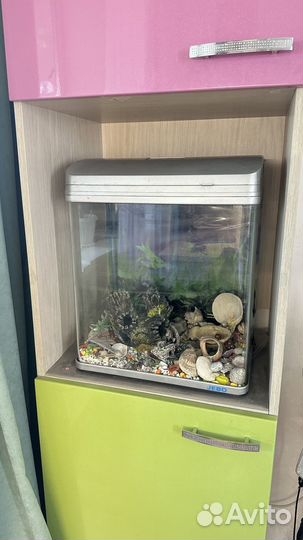 Аквариум jebo
