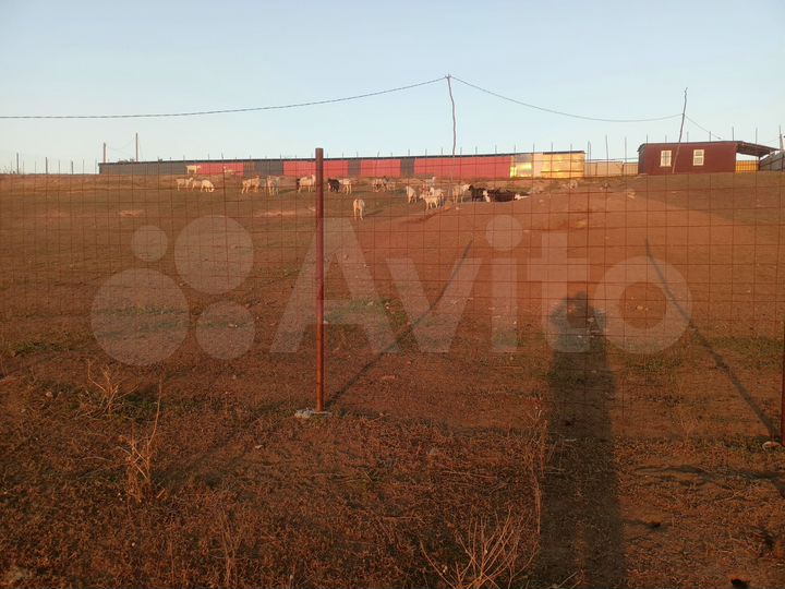 Участок 40 сот. (СНТ, ДНП)