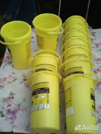 Розы кустовые виноград и др