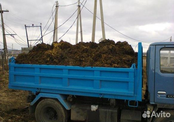 Навоз,перегной,коровий,конный,птичий