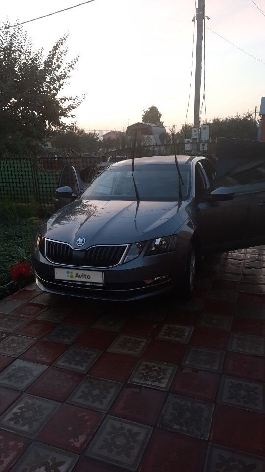 Skoda Octavia: фото владельца