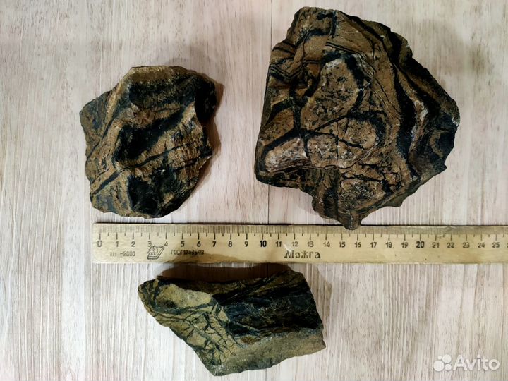 Всё для аквариума