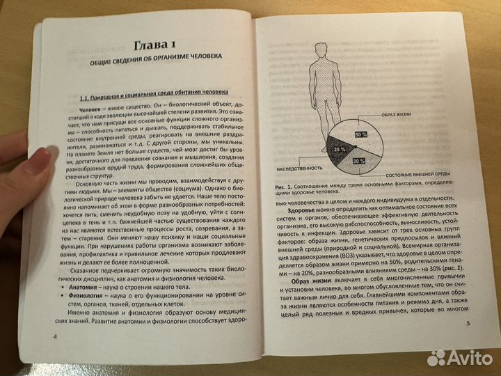 Строение и функции орзанизма человека