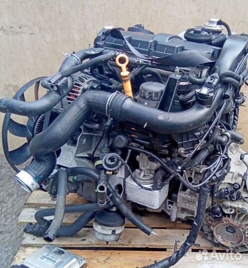 Двигатель Volkswagen Passat 1.9 D AWX 2000-2005