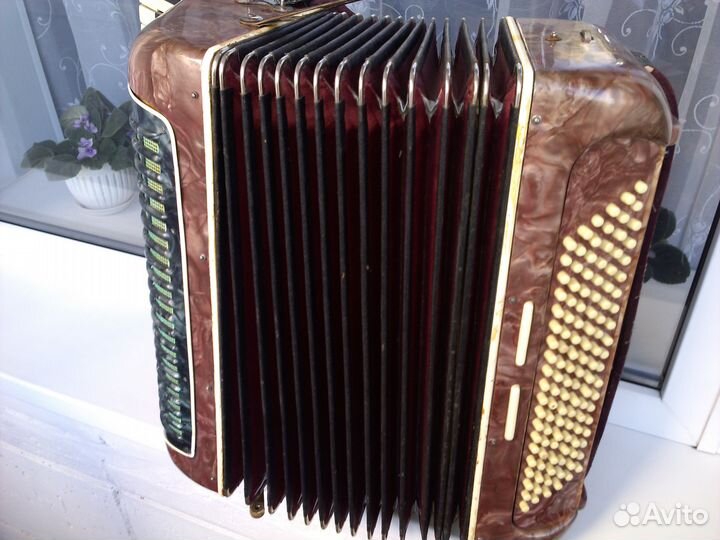 Аккордеон 