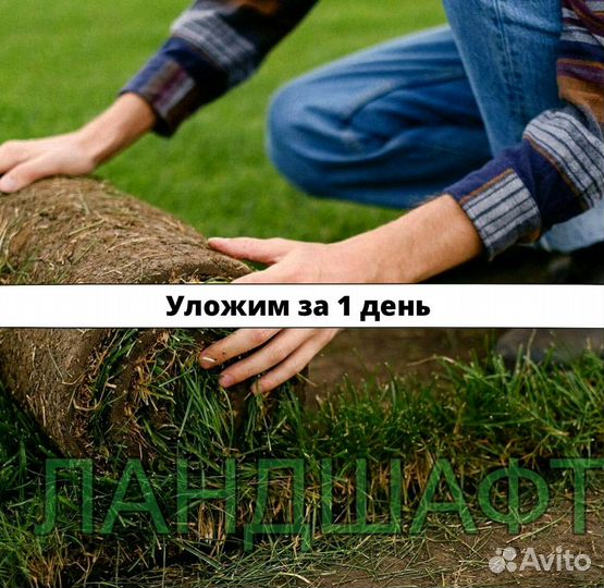 Городской рулонный газон для вас Коммунарка