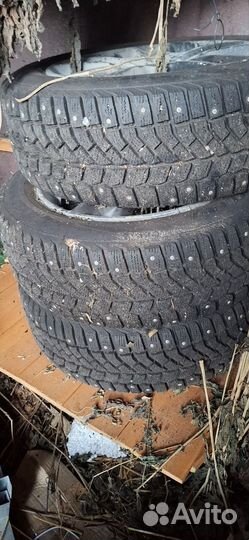 Viatti Bosco Nordico V-523 205/55 R16