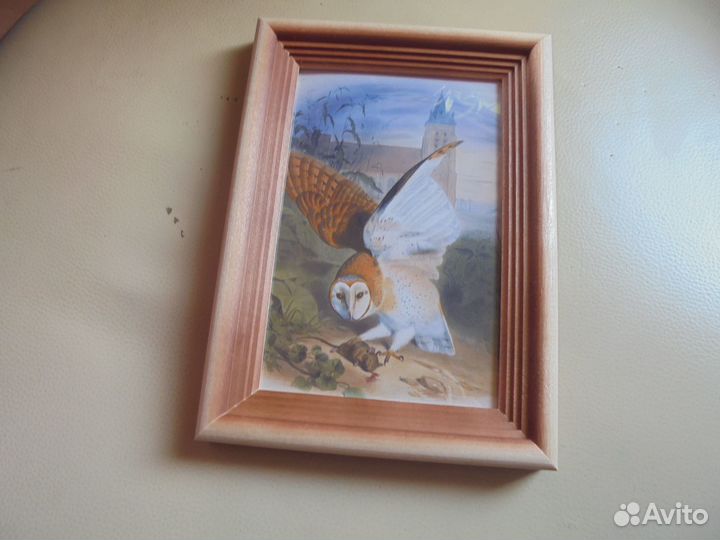 Панно 17х12 Птицы лесов и водоём рис.Э.Травье 1 шт