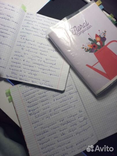Перепишу лекции/конспекты за вас