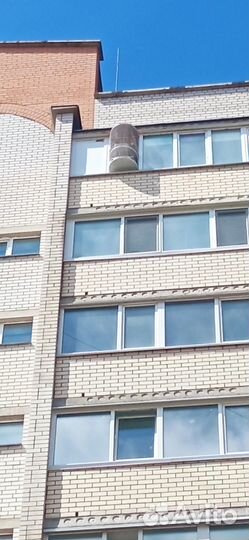 Балкон для кошек и собак