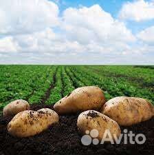 Чернозем, плодородный грунт, навоз, торф