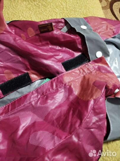 Костюм для собак