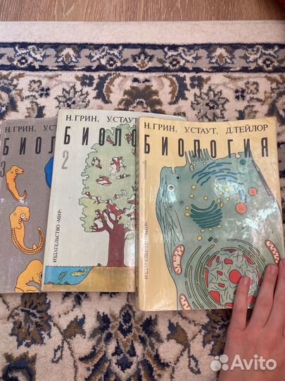 Биология грин стаут тейлор