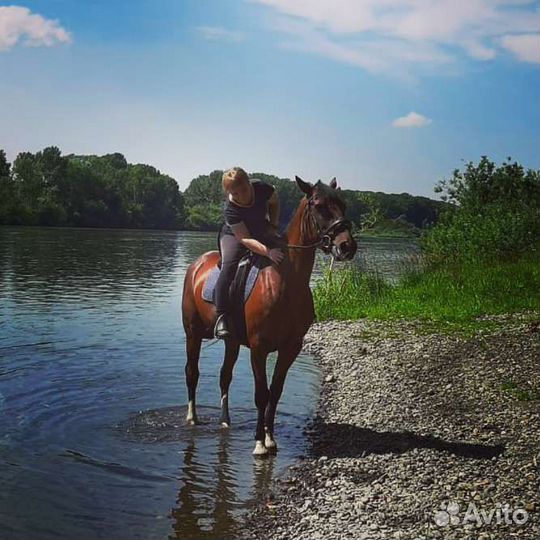 Конный спорт занятия