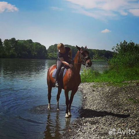 Конный спорт занятия