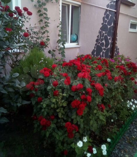 3-к. квартира, 59,3 м², 1/1 эт.