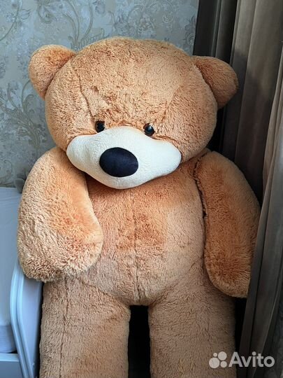 Большие плюшевые медведи