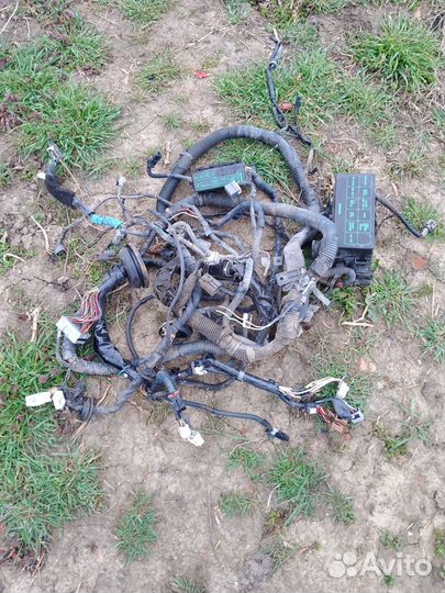 Фишки проводки Nissan Bluebird