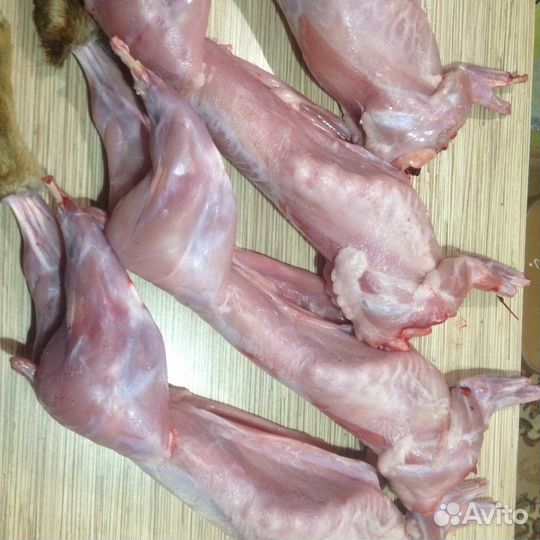 Мясо кролика