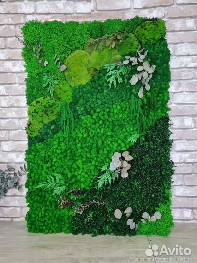 Панели из стабилизированного мха